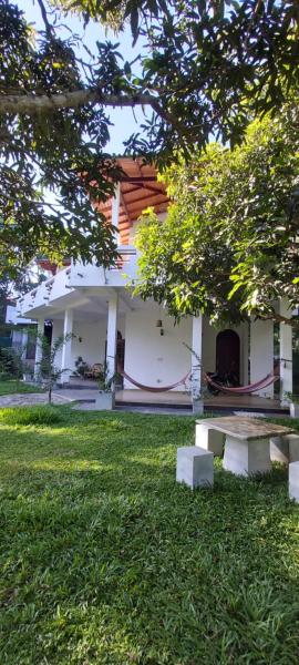 Green olive villa